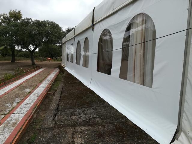 Carpa
